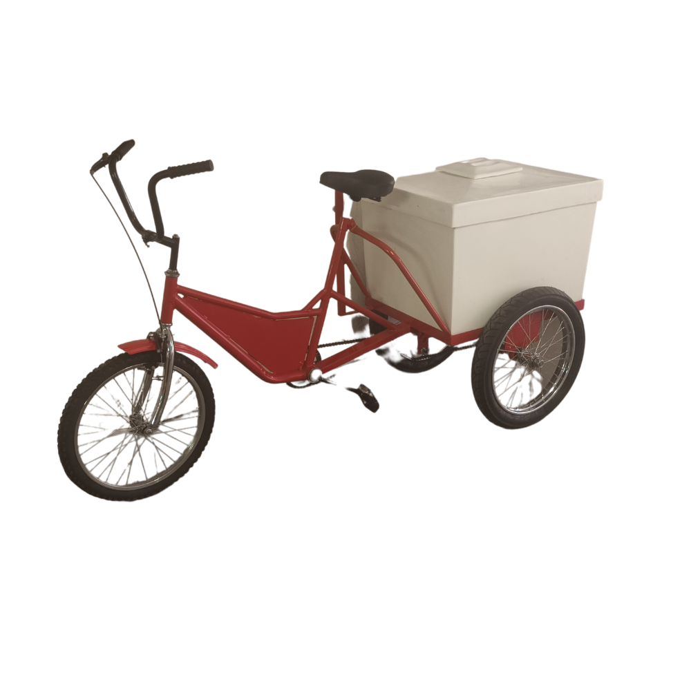 bike with ice cream cooler