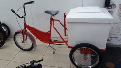 ice cream tricycle price