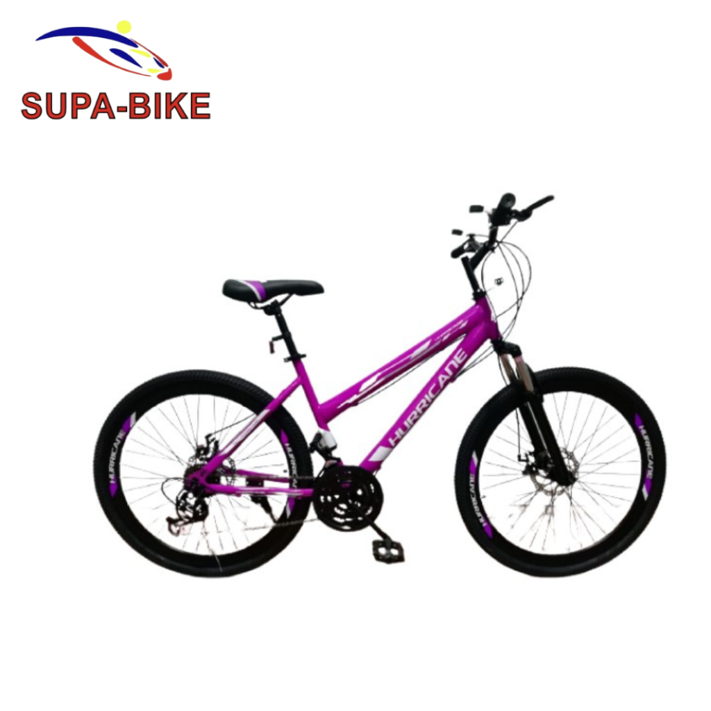 24 inch ladies bike